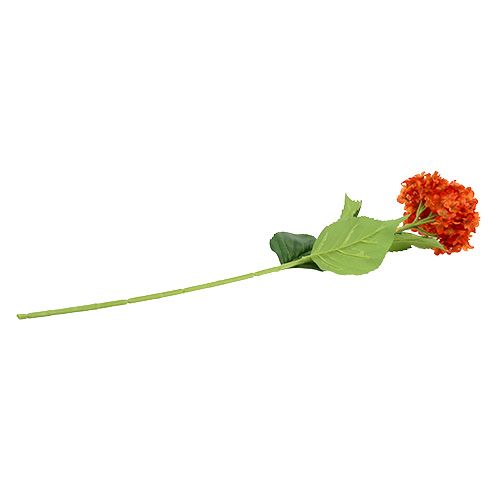 Floristik24 Hydrangea Orange 80cm 1pc