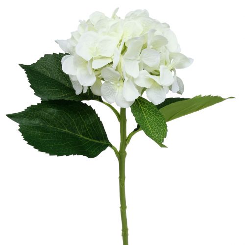 Floristik24 Hydrangea White L54cm high quality decorative flower