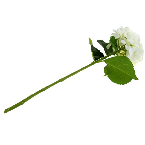 Floristik24 Hydrangea White L54cm high quality decorative flower