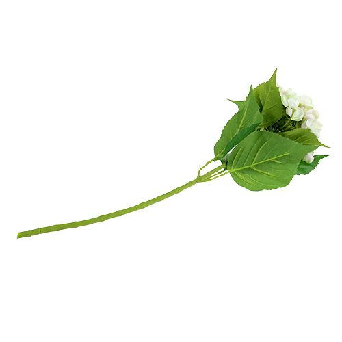 Hydrangea white-green 60cm | Floristik24.co.uk