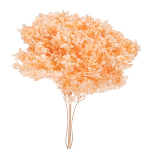 Hydrangea dried flower bouquet for elegant floral decorations at home, 65cm