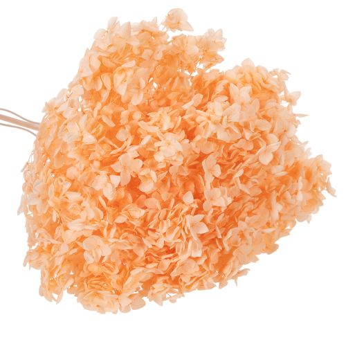 Product Hydrangea dried flower bouquet for elegant floral decorations at home, 65cm