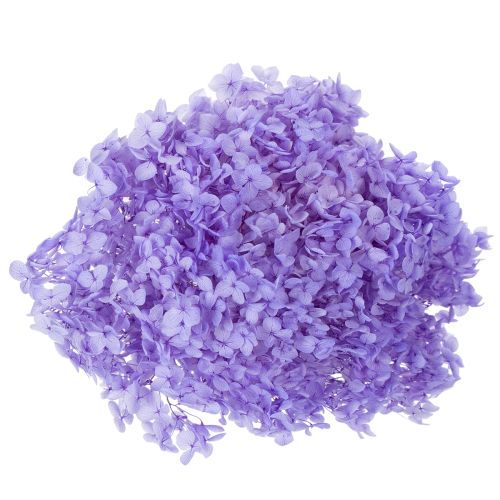 Product Dried hydrangea flower for elegant interior design and decoration, 80cm