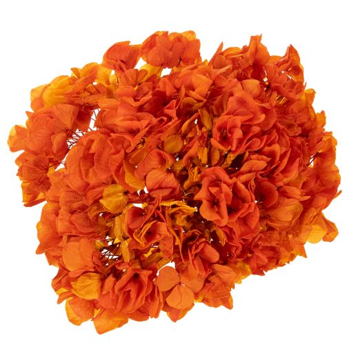 Preserved Hydrangea 60cm Long Stem Dyed in Orange | Floristik24.co.uk