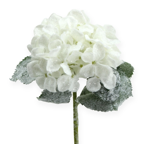 Floristik24 Hydrangea white with snow effect 25cm
