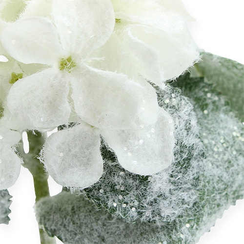 Product Hydrangea white with snow effect 25cm