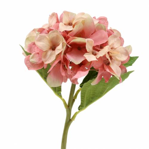 Hydrangea beige/ pink 35cm
