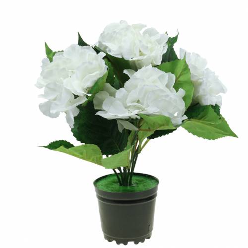 Floristik24 Hydrangea in a flower pot Artificial White 35cm