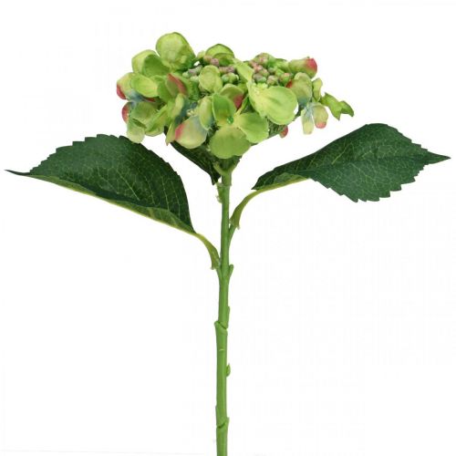 Floristik24 Artificial hydrangea, flower decoration, silk flower green L44cm