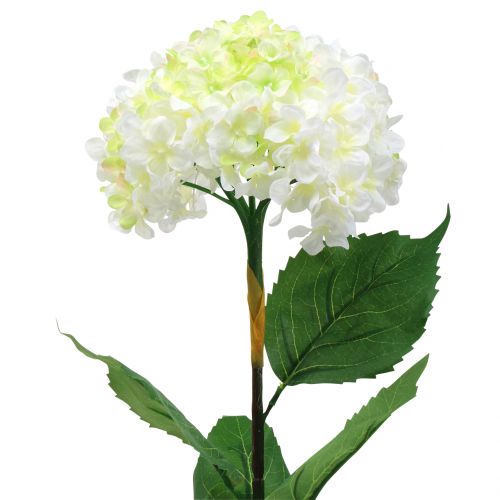Floristik24 Hydrangea white artificial 80cm