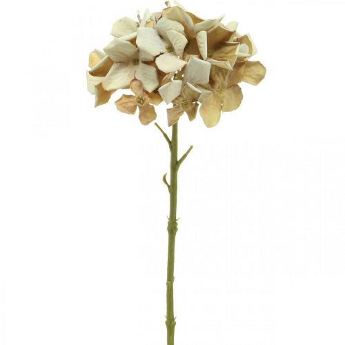 Product Hydrangea artificial flower brown, white autumn decoration silk flower H32cm