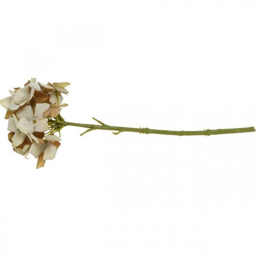 Floristik24 Hydrangea artificial flower brown, white autumn decoration silk flower H32cm