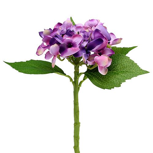 Floristik24 Hydrangea purple 33cm 1p