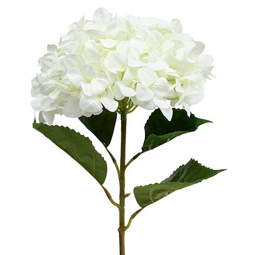 Floristik24 Hydrangea Maxi White Ø30cm L113cm