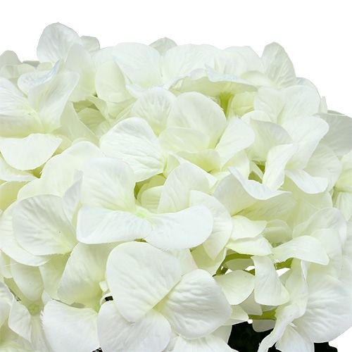 Product Hydrangea Maxi White Ø30cm L113cm