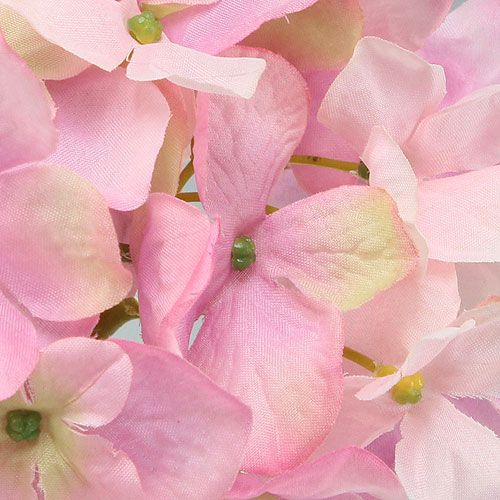 Floristik24 Hydrangea Pink 68cm