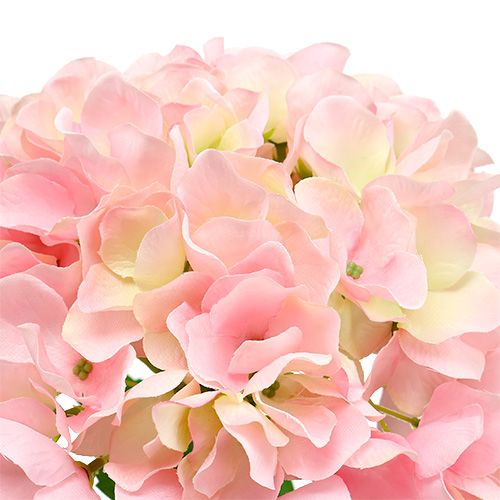 Floristik24 Hydrangea Pink L 70cm