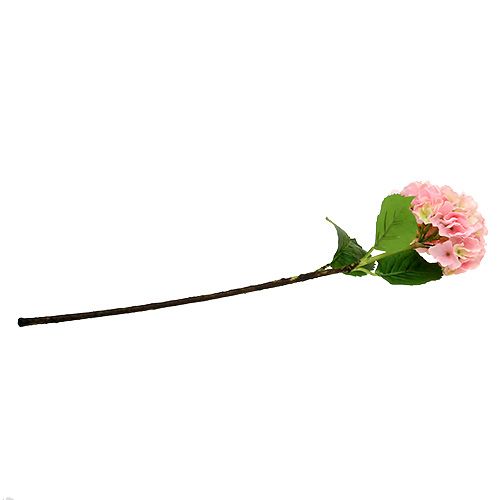 Floristik24 Hydrangea Pink L 70cm