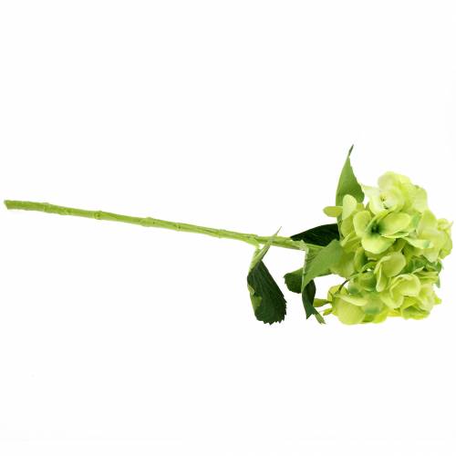 Floristik24 Hydrangea green 54cm