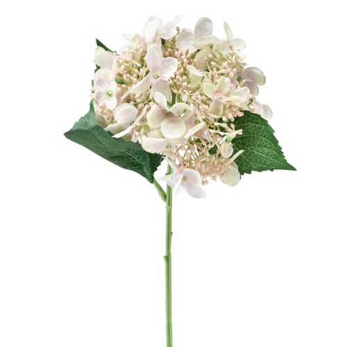 Floristik24 Hydrangea artificial cream garden flower with buds 52cm