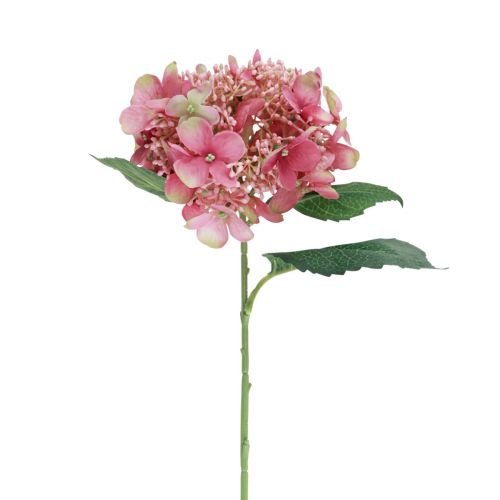 Floristik24 Hydrangea artificial pink and green garden flower with buds 52cm