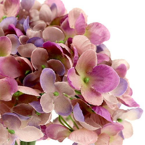 Floristik24 Hydrangea bunch L25cm violet