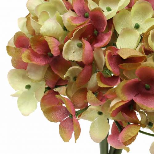 Floristik24 Hydrangea collar L27cm green, pink