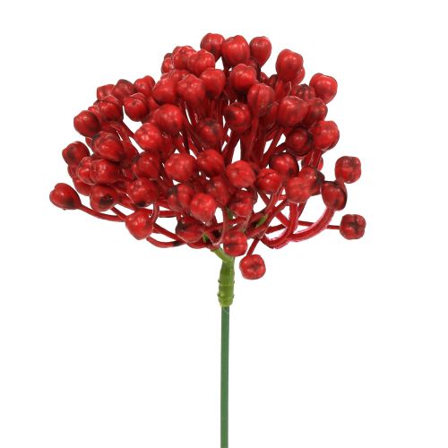 Floristik24 Hydrangea bud pick 22cm red 12pcs