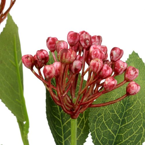 Product Hydrangea bud branch 55cm pink 6pcs
