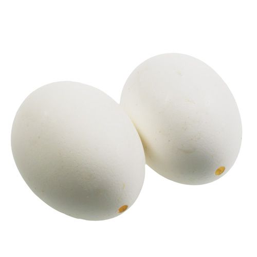 Floristik24 Chicken eggs white 10pcs