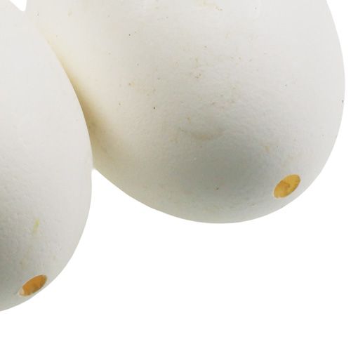 Floristik24 Chicken Eggs White 10 pcs