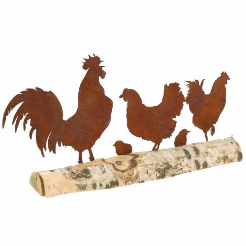 Floristik24 Chicken family metal rust on wooden base birch 32cm H15.5cm