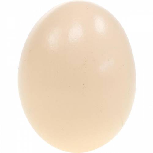 Product Chicken Eggs Cream Easter Decoration Blown Out Eggs 10 Pcs