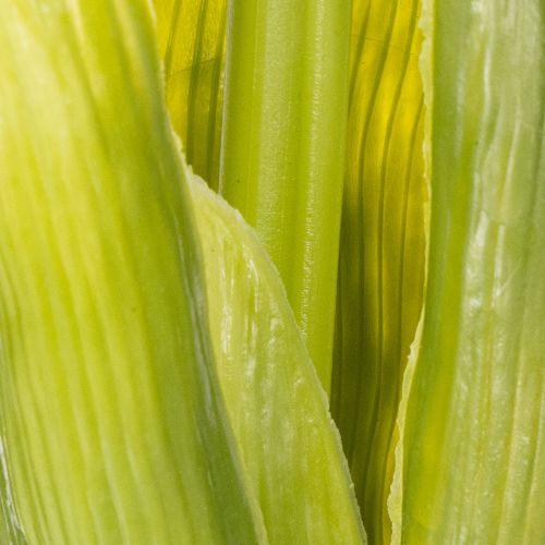 Product Hyacinth Real-Touch Pink 40cm