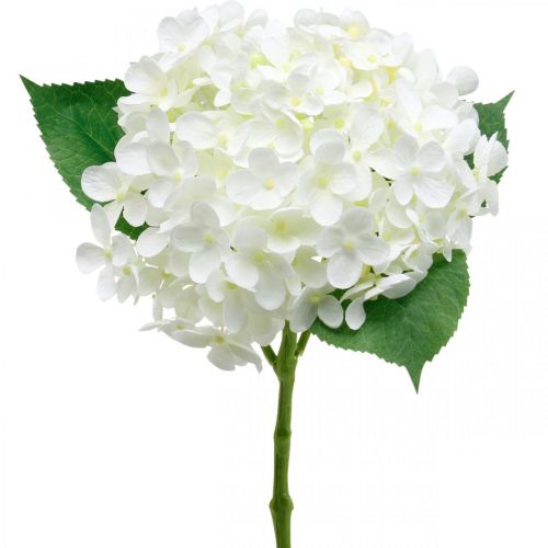 Floristik24 Hydrangea artificial white 53cm