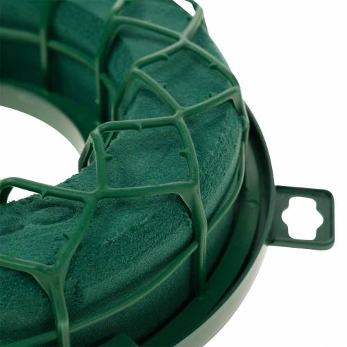 Product OASIS® IDEAL Universal Ring Floral Foam Wreath Green H4cm Ø18.5cm 5 pcs