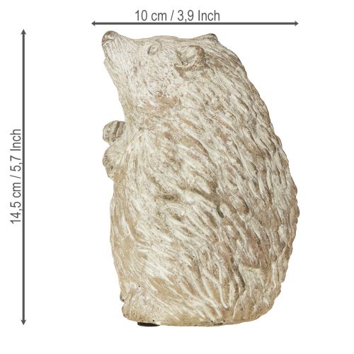 Floristik24 Hedgehog autumn decoration figure cast stone white washed H14.5cm