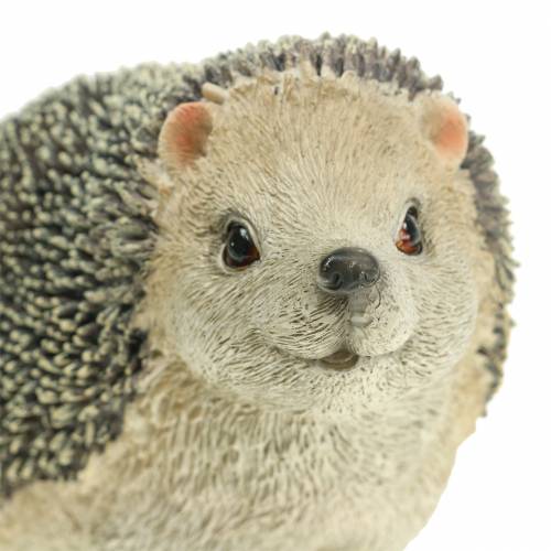 Floristik24 Decorative figure hedgehog 22cm