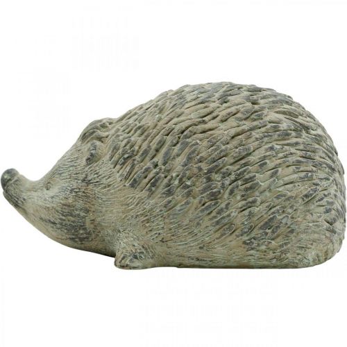 Floristik24 Decorative figure hedgehog 22cm garden decoration autumn antique green 20 × 12 × H10cm