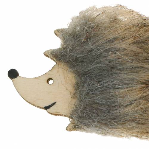 Floristik24 Autumn decoration hedgehog with fur 7cm 24 pcs