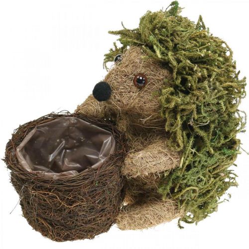 Product Hedgehog with basket green, autumn decoration for planting, decorative plant basket H24cm Ø9.5cm