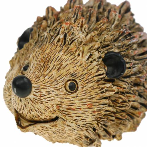 Floristik24 Decoration figure hedgehog nature 6,5cm