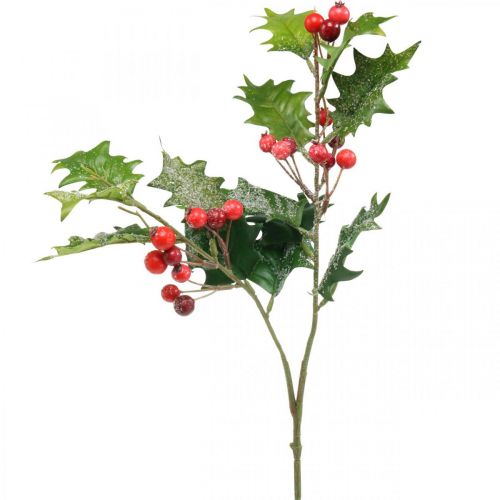 Floristik24 Artificial holly branch, winter berries, Christmas decorations, holly snow-covered green, red L63cm