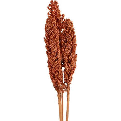 Floristik24 Indian Corn Dried Flowers Indian Corn Orange 72cm 3 pcs