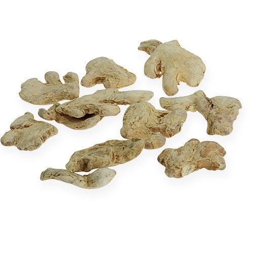 Floristik24 Dried ginger decoration natural decoration 500g