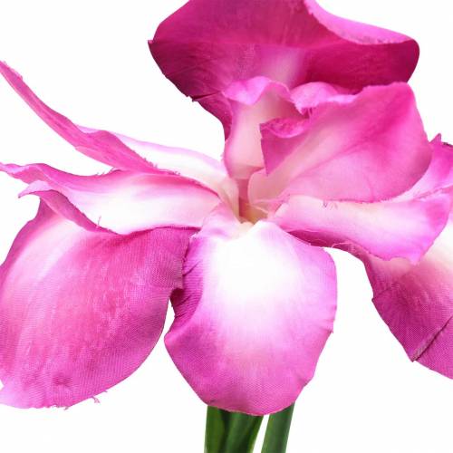 Product Artificial Iris Pink 78cm