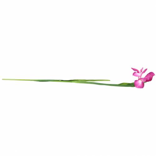 Product Artificial Iris Pink 78cm