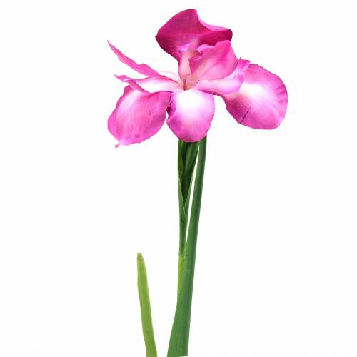 Artificial Iris Pink 78cm