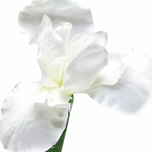 Floristik24 Artificial Iris White 78cm