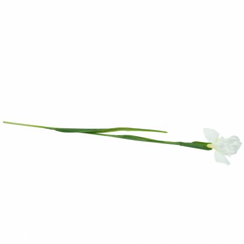 Floristik24 Artificial Iris White 78cm